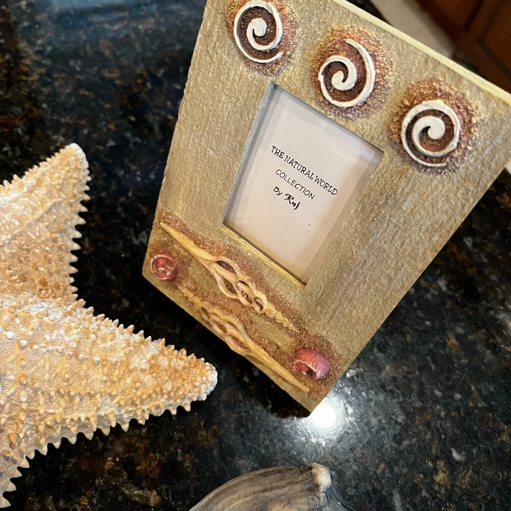 NEW Dimensional Seashell Picture Frames-Set of 2 by Raj